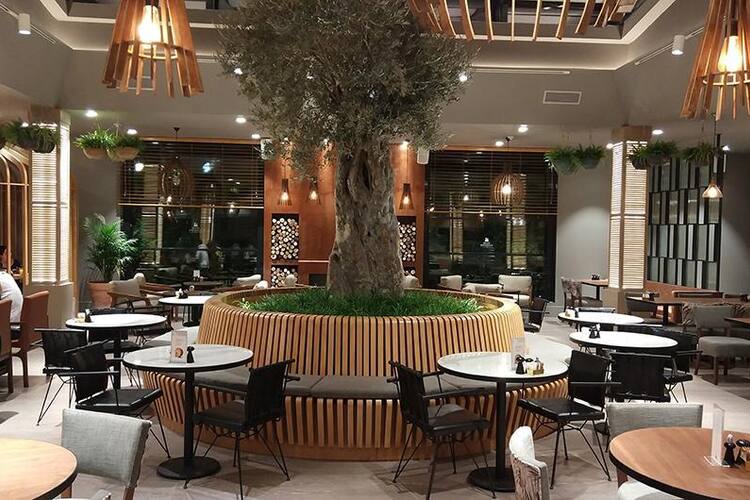 Oz Ikizler Kunefe Fotos Imagenes De Oz Ikizler Kunefe Acibadem Merkez Istanbul